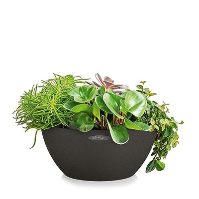 LECHUZA CUBETO Binnen/buiten Plantenpot Vrijstaand Polypropyleen (PP) Zwart LECHUZA CUBETO Binnen/buiten Plantenpot Vrijstaand Polypropyleen (PP) Zwart