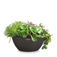 LECHUZA CUBETO Binnen/buiten Plantenpot Vrijstaand Polypropyleen (PP) Zwart - thumbnail