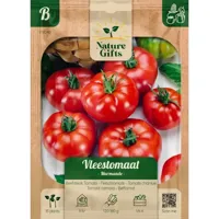 Tomaat marmande 15st - thumbnail