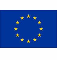 Vlag Europa 90 x 150cm - thumbnail