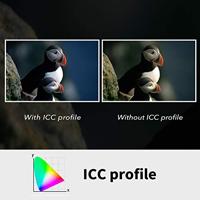 Plustek OpticFilm 8200i SE Negatiefscanner, Diascanner Stof- en krasverwijdering: Hardware - thumbnail