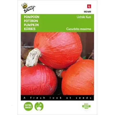 Zaden Pompoenen Uchiki Kuri (Oranjezon) Buzzy - Buzzy
