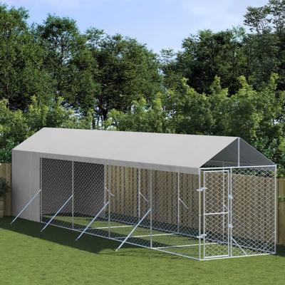 Hondenkennel met dak 2x10x2,5 m gegalvaniseerd staal zilver