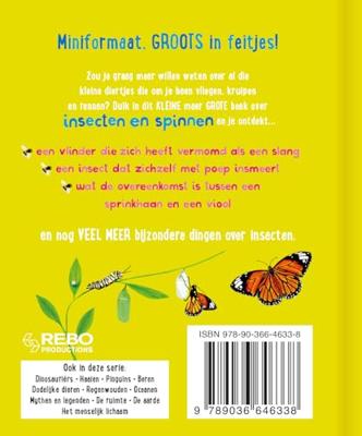 Rebo Publishers Het kleine maar grote boek over? insecten spinnen