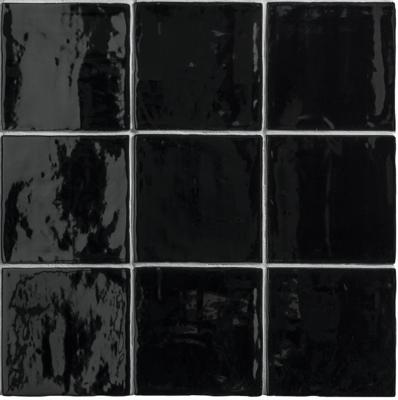 Oud Hollandse witjes Zwart 13x13