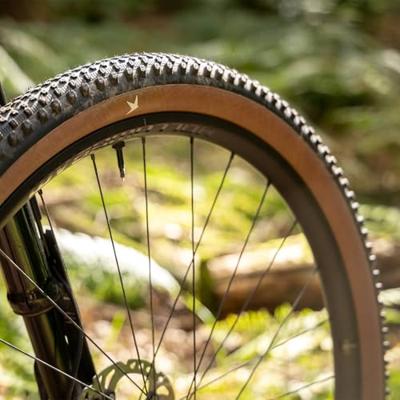 SCHWALBE buitenband rick xc pro evo 29 x 2.40 zw/trans vouw tlr