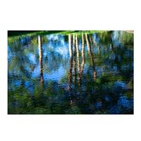 Sigma 56mm F/1.4 DC DN Contemporary Sony E - thumbnail