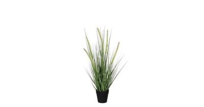 Decoratieve plant Mica Decorations Dogtail PVC