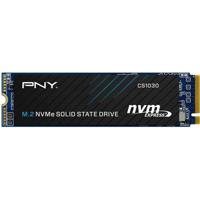Hard Drive PNY M280CS1030-250-RB - thumbnail