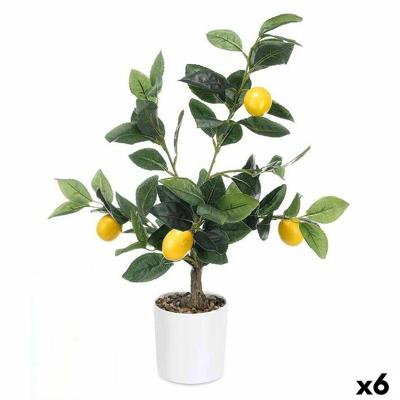Decoratieve plant Ibergarden Schuim Polyethyleen Melamine Citroenboom 40 x 58 x 38 cm (6 Stuks)