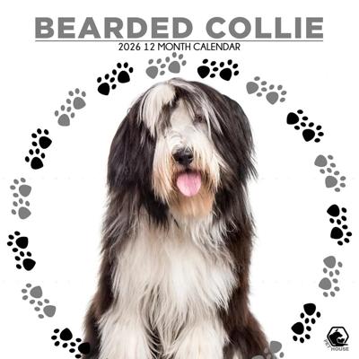 Bearded Collie Kalender 2026
