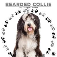 Bearded Collie Kalender 2026 - thumbnail