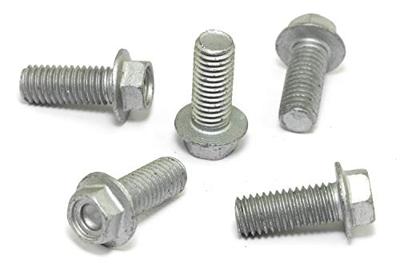 TRW bouten set screw set 5pcs. m8x1,25