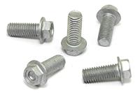 TRW bouten set screw set 5pcs. m8x1,25 - thumbnail