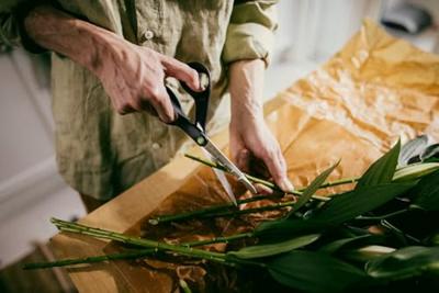 Fiskars 1074544 FF ReNew Tuinschaar 210 mm