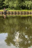 Browning Black Magic MSF 330 - thumbnail