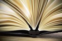 Sigel SI-CF110 Business Organiser Conceptum Flex Kunstleer, A4, Zwart, Leeg, 3 Metalen Geleiders Elastieksluiting, Pennenlus En - thumbnail