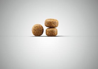 Josera Balance 12,5 kg Senior