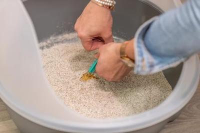 Trixie urinetest kit voor katten