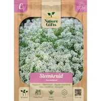 Steenkruid sneeuwtapijt 80st - thumbnail