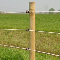 Gallagher XDI schroef-ringisolator hout (250) - 060788 - 060788 - thumbnail