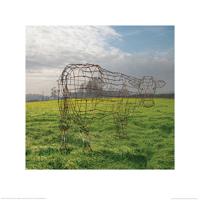 Kunstdruk Pink Floyd - Wireframe Cow 40x40cm - thumbnail