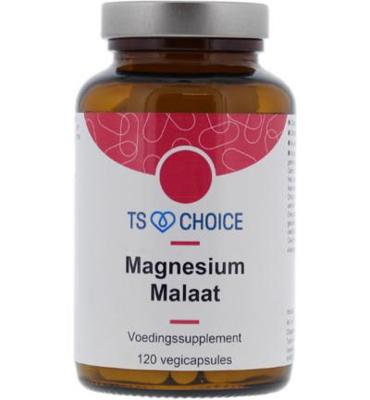 Best Choice Magnesiummalaat 500 V-caps 120 Nl