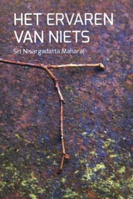 Het ervaren van niets (Paperback)