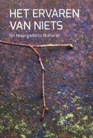 Het ervaren van niets (Paperback) - thumbnail