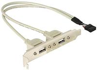 Delock Slotplaat 2 x USB 2.0 Type A externe aansluiting - thumbnail