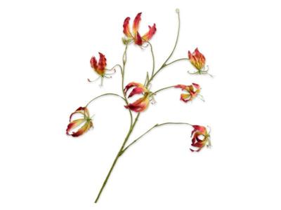 Gloriosasteel l110 cm geel/roze Silk-Ka - Silkka