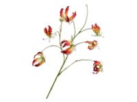 Gloriosasteel l110 cm geel/roze Silk-Ka - Silkka - thumbnail