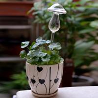 Paddestoel vorm huis planten bloemen water feeder automatische zelf drenken helder glas apparaten (transparant) - thumbnail