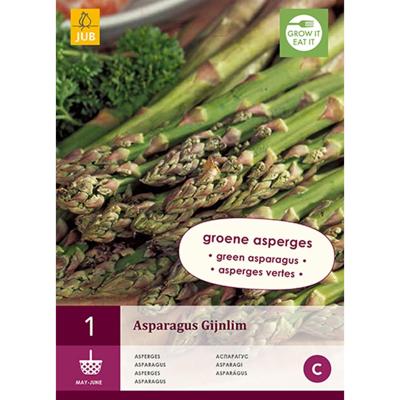 Asparagus gijnlim (groen) 1st bloembol zomer JUB - Jub