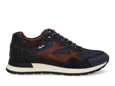 Australian Tiago blue brown donkerblauw maat 42