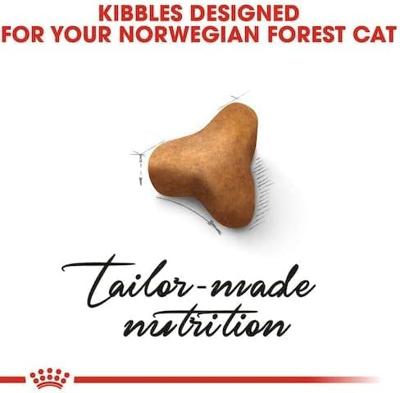 Royal Canin Feline Breed Norwegische Waldkatze 400g