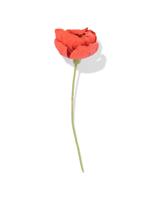HEMA Kunstbloem 23cm klaproos papier rood (rood) - thumbnail