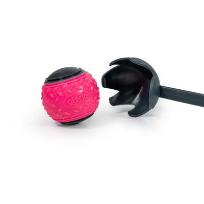 Ballenwerper voor honden Gloria