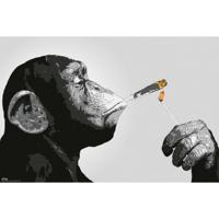 Poster Steez Smoking 91,5x61cm - thumbnail