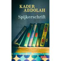 Spijkerschrift (Paperback) - thumbnail