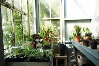 Elho kweekpot green basics kweekpot set 10 stuks 7,5 cm living black