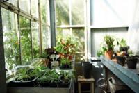 Elho kweekpot green basics kweekpot set 10 stuks 7,5 cm living black - thumbnail