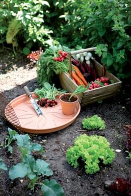 Elho Green Basics Plantenschotel Mild Terra Ø22cm