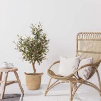 Olijf Kunstplant Deluxe op stam 95cm - thumbnail