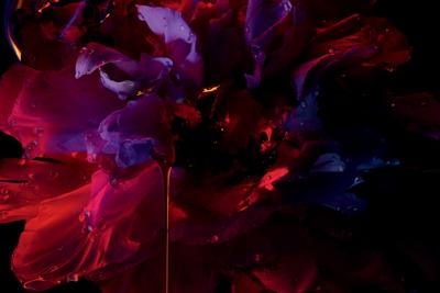 Hypnotic Poison Eau de Toilette