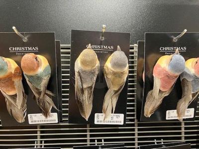 Kerstornament Vogel Clip 12,5cm Assorti 2st