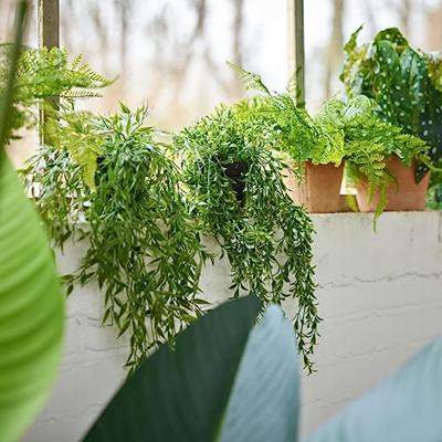 Kunstplant Buxus hangend in pot - 50cm