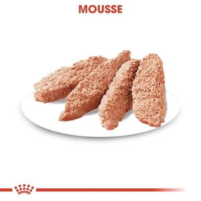 Royal Canin Dermacomfort natvoer hondenvoer zakjes 12x85g - thumbnail