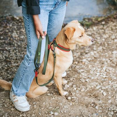 Hondenhalsband Hunter 27-35 cm