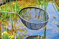 Oase 84310 Schepnet Maasbreedte: 2 mm (l x b x h) 56 x 56 x 32 cm - thumbnail